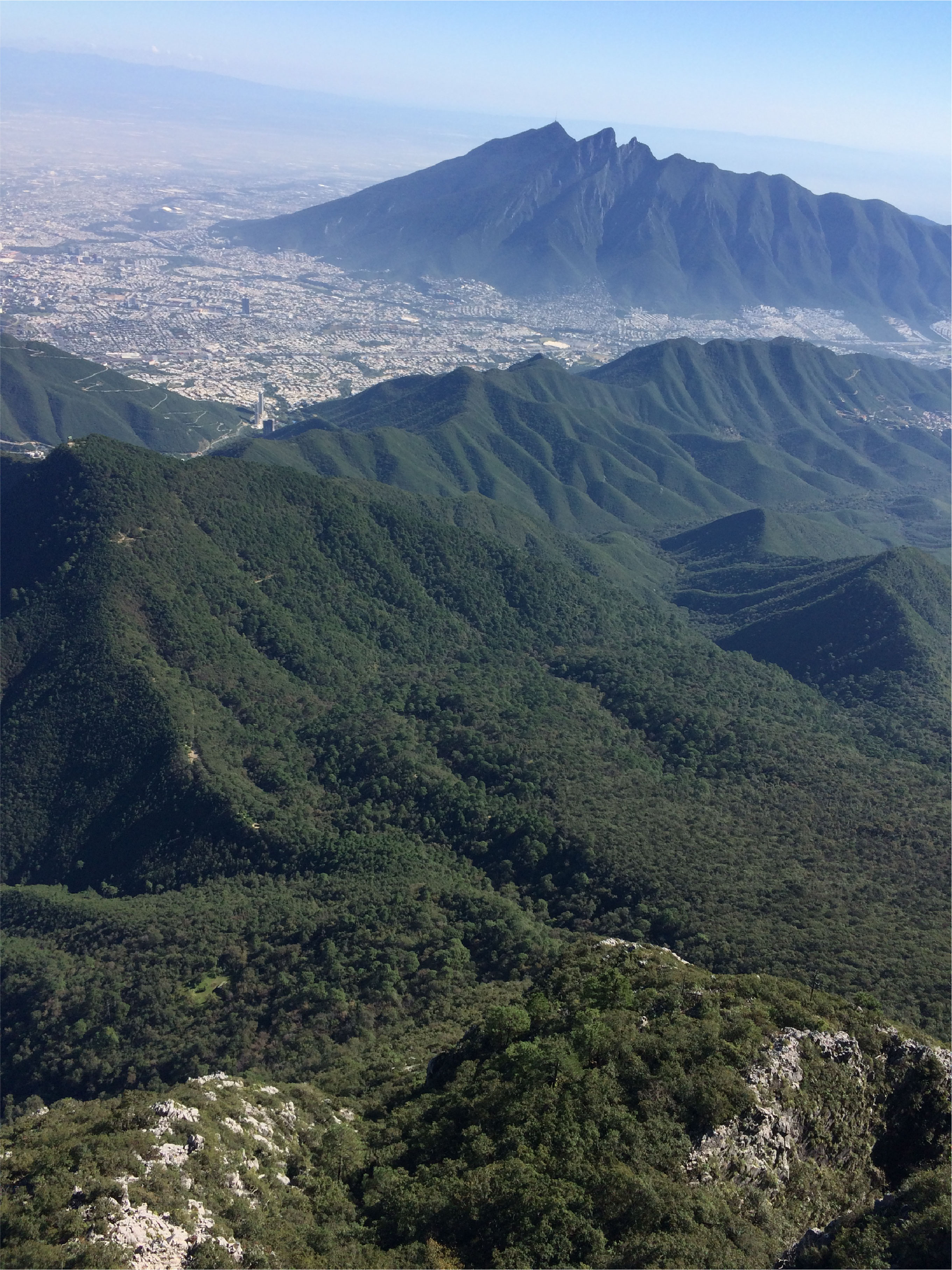 Galería 8